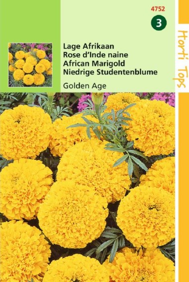 African Marigold Golden Age (Tagetes erecta) 150 seeds